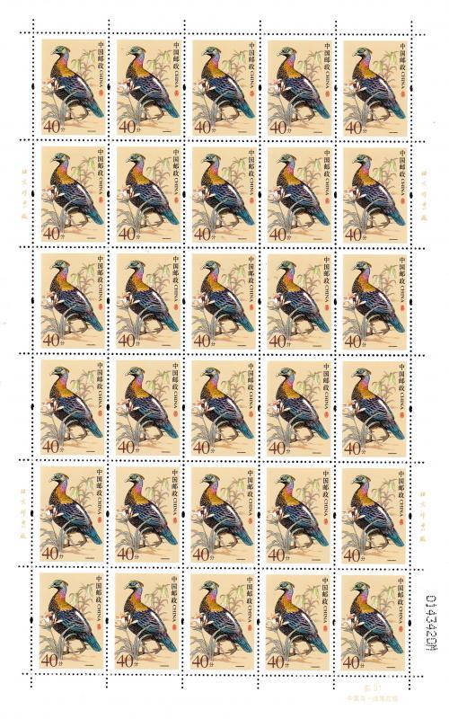 R31（40分 7 M 小孔径 版张）.jpg