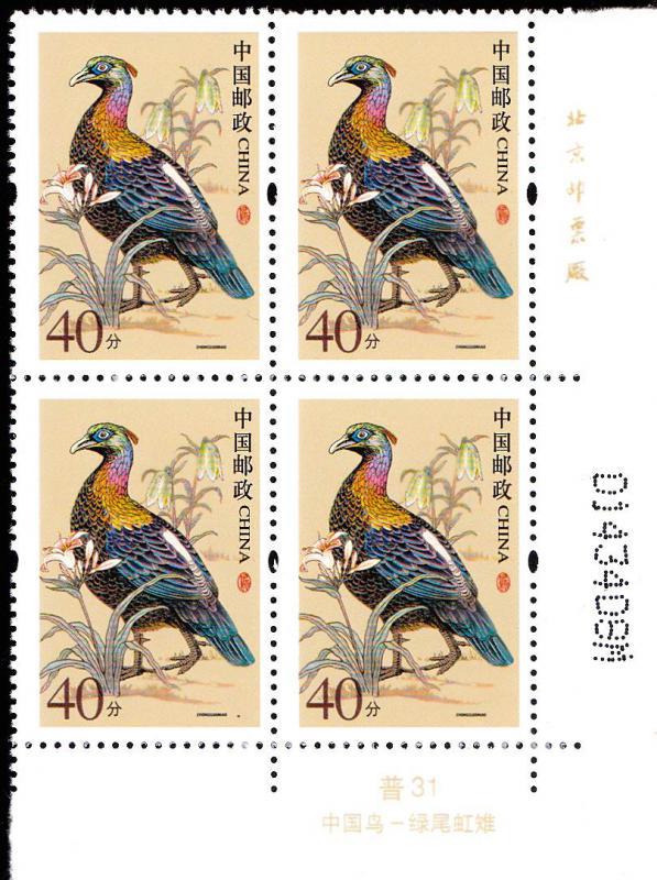 R 31 （40分 7 M）.jpg