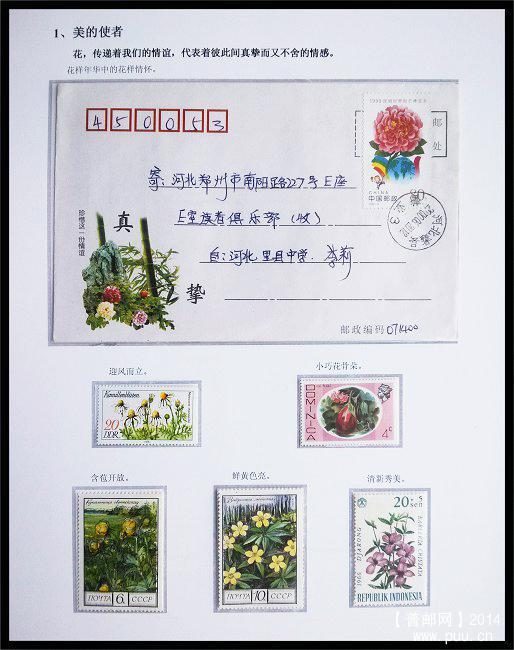 2x《好花知时节》专题邮集二框 03.jpg
