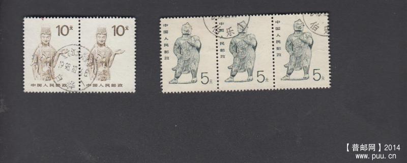 黑龙江白桦、伯乐