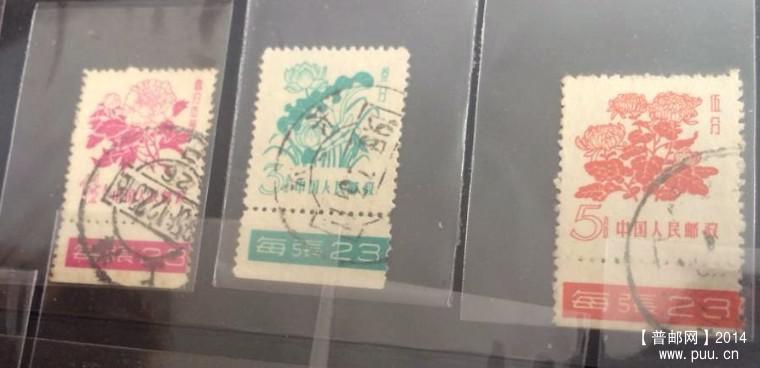 普10花卉数字铭