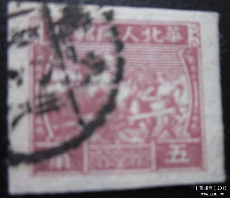 IMG_4145 (800x688).jpg