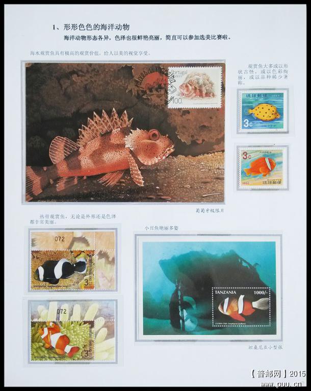 x《海洋动物》专题邮集  09.jpg