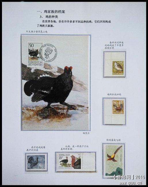 x《鸡》专题邮集 05.jpg