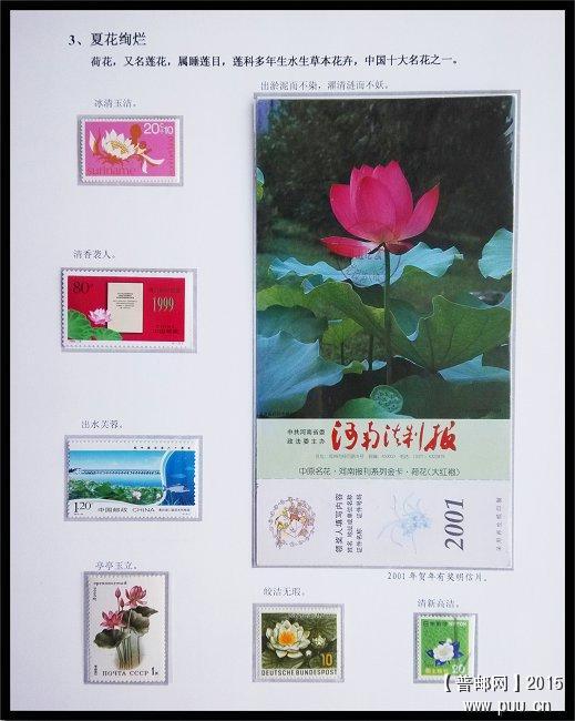 x《好花知时节》专题邮集二框 18.jpg