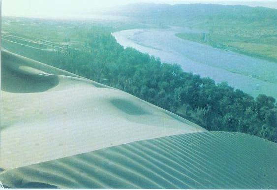 售可做《黄河》票极限的宁夏风光的明信片