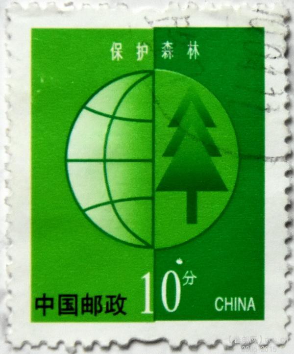 环保10分面小白点2.JPG