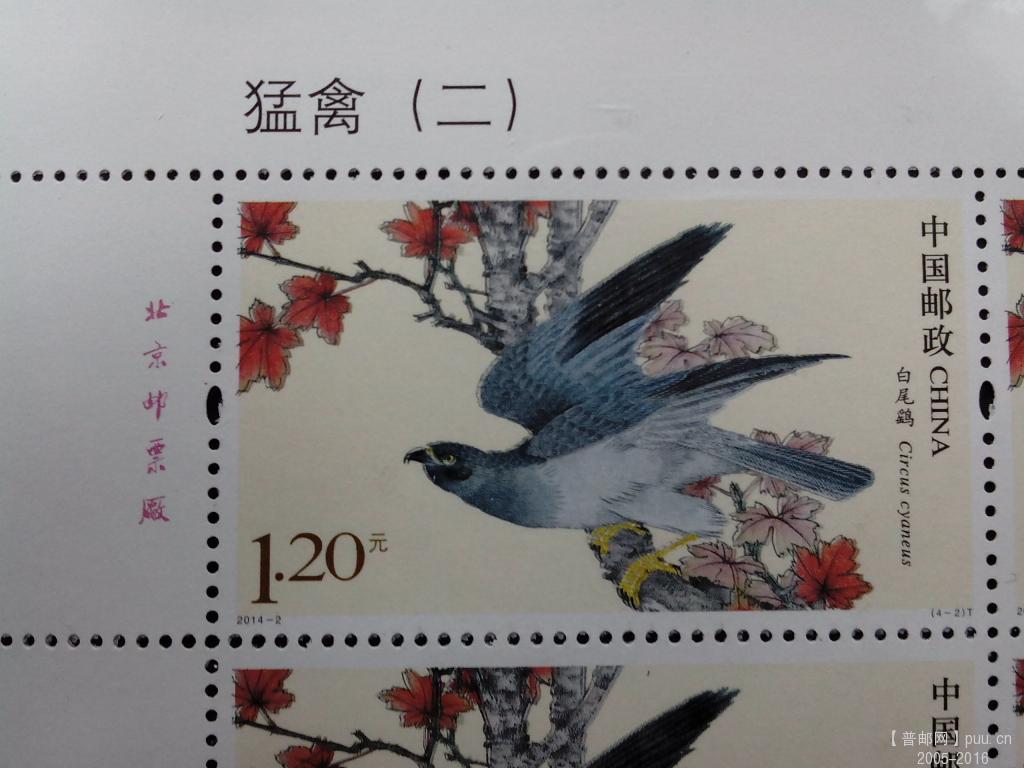 图3  左右移位，导致鸟有两张嘴