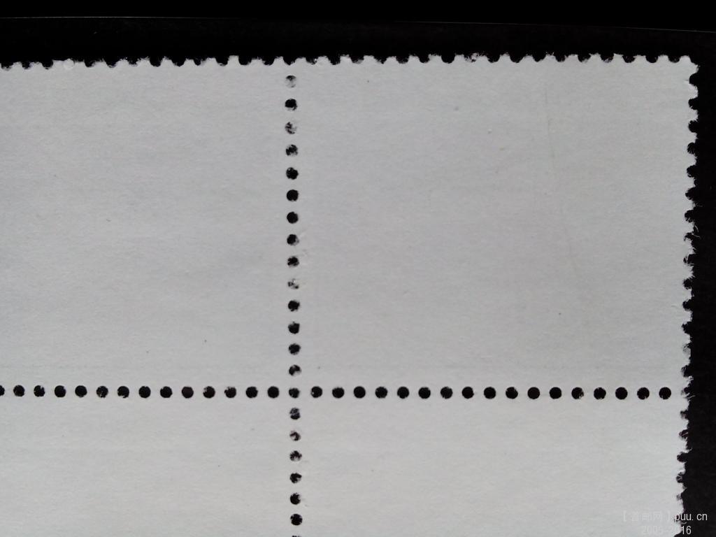 背面图，右下角一枚背面有一轻微线条，疑似“皱纹”