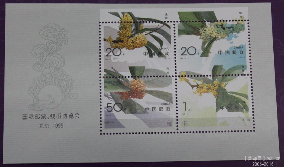 小像素 桂花，正面.jpg