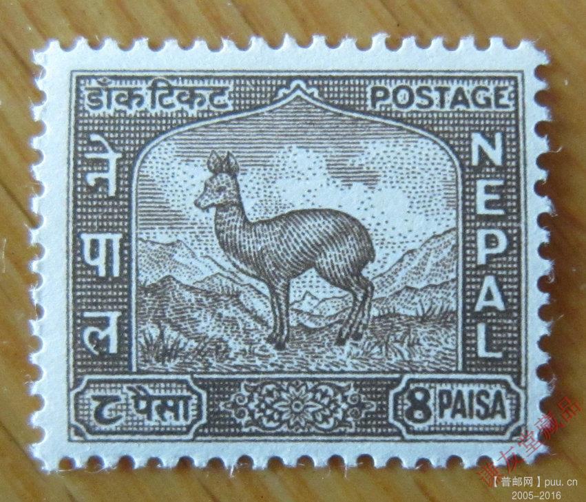 尼泊尔1959-60年发行万国邮联周-纪念加入万国邮联：（14-5）麝香鹿.JPG.jpg
