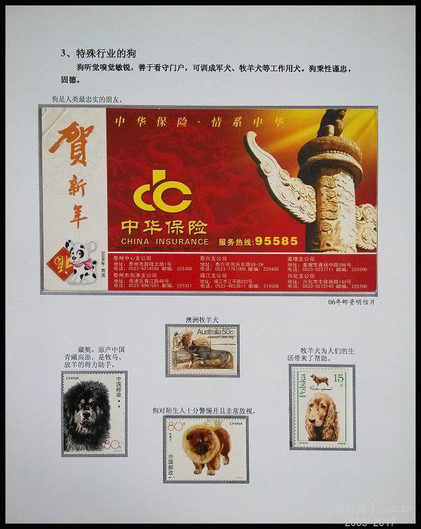 《狗》专题邮集 11.jpg