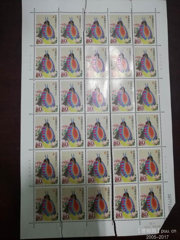 80分鸟套色移位整体