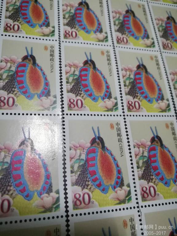 80分鸟套色移位特写