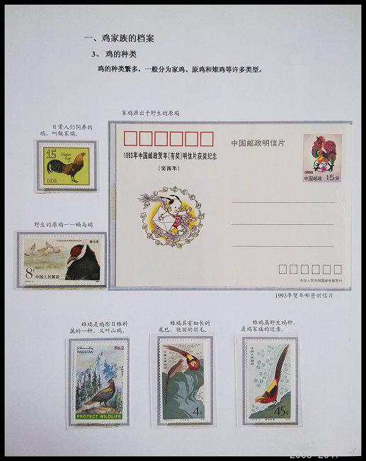 《鸡》专题邮集 04  x.jpg