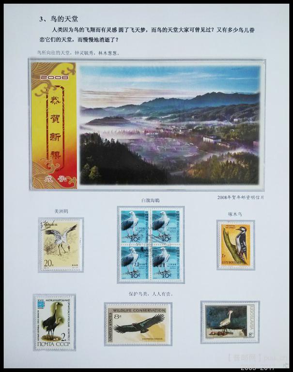 2x《鸟》专题邮集 15.jpg