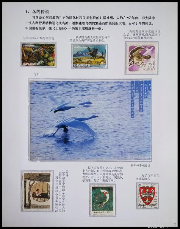 3x《鸟》专题邮集 02.jpg