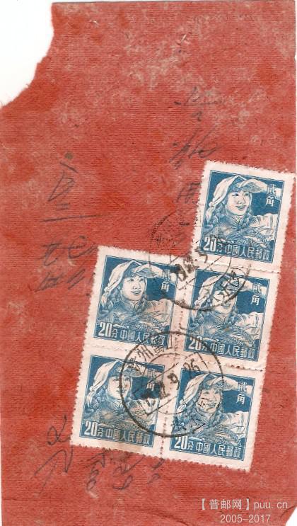 普8  20分收据背.JPG