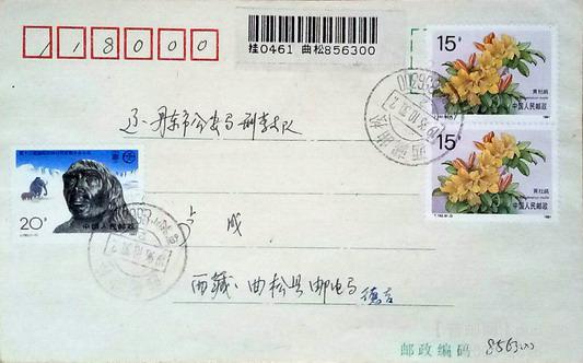 照片111111 009.jpg