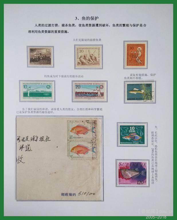 《鱼》专题邮集 14.jpg