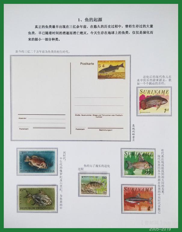 《鱼》专题邮集 03.jpg