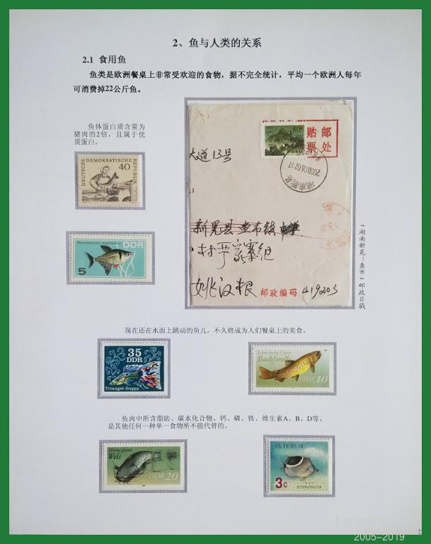 《鱼》专题邮集 05.jpg