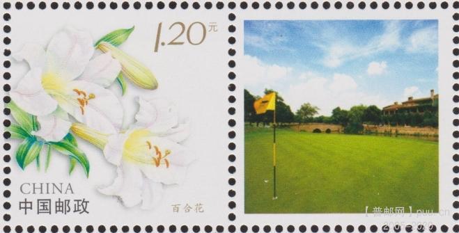 个23（10-2）百合花 19齿.jpg