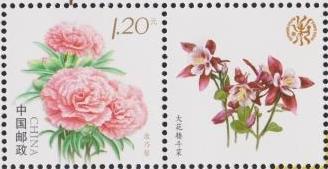 个23（10-7）康乃馨 18-19齿.jpg