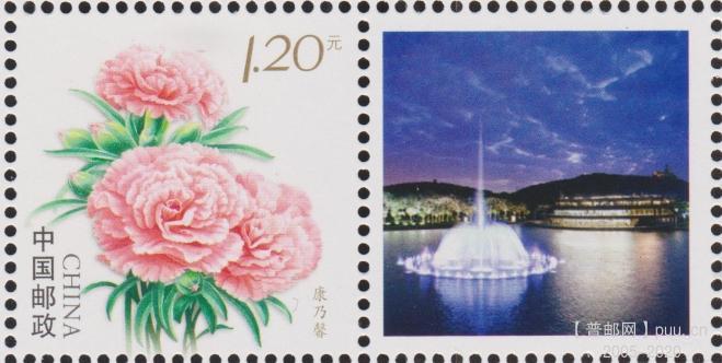 个23（10-7）康乃馨 19齿.jpg