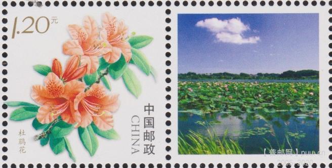 个23（10-8）杜鹃花 19齿.jpg
