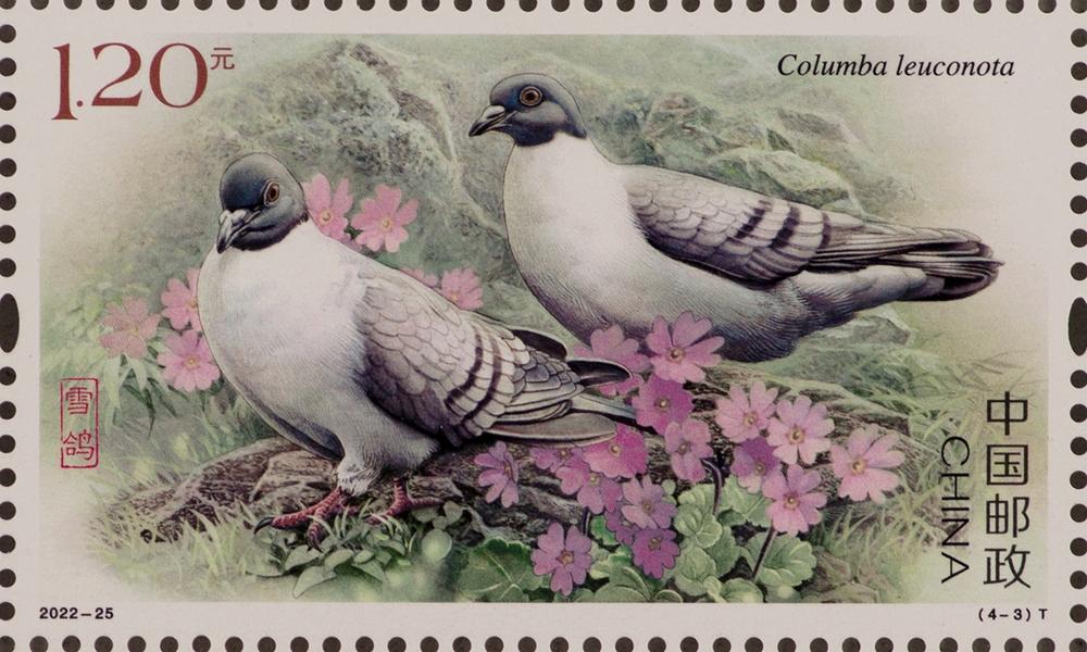 2022-25《鸽》（4-3）.jpg
