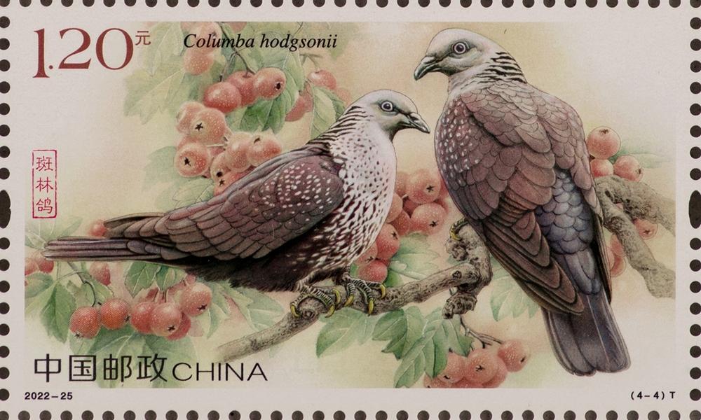 2022-25《鸽》（4-4）.jpg