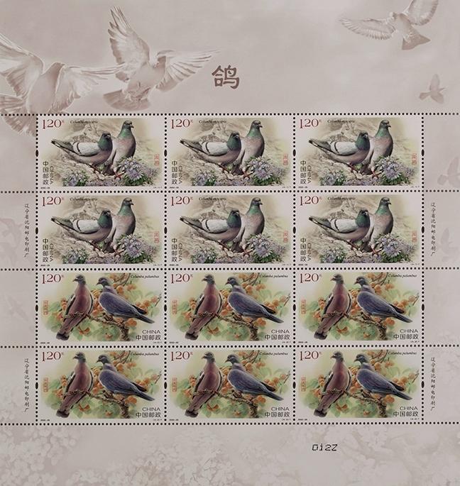 2022-25《鸽》版1.jpg