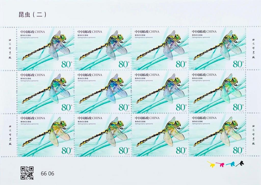 2023-15《昆虫（二）》2.jpg
