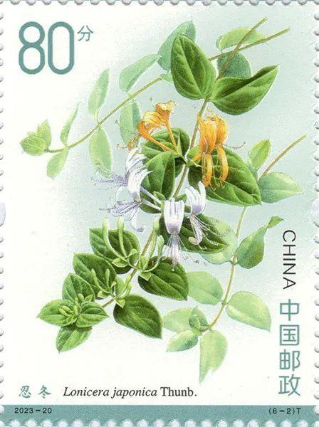 2023-20《药用植物（三）》6一2.jpg