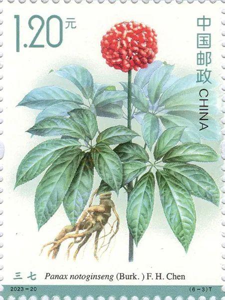 2023-20《药用植物（三）》6一3.jpg