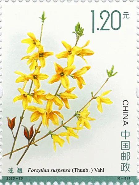 2023-20《药用植物（三）》6一5.jpg