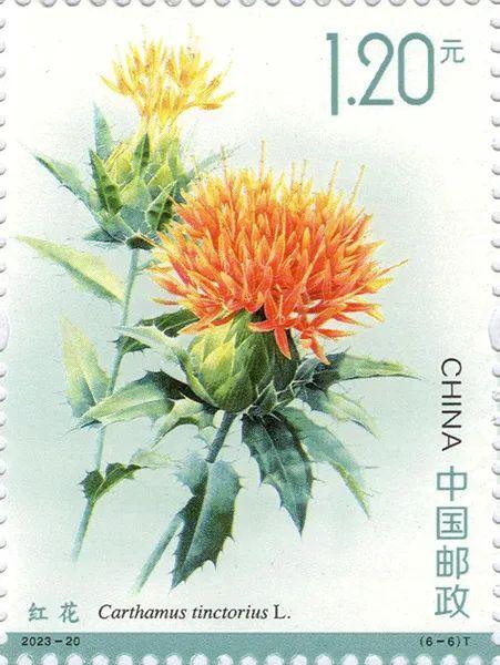 2023-20《药用植物（三）》6一6.jpg