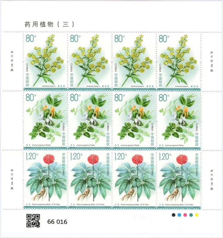 2023-20《药用植物（三）》一1.jpg