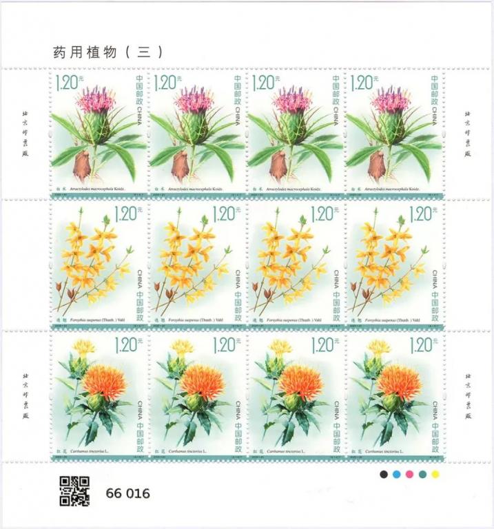 2023-20《药用植物（三）》一2.jpg