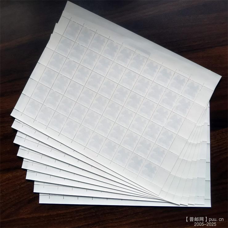 10分8版荧光 (1).jpg