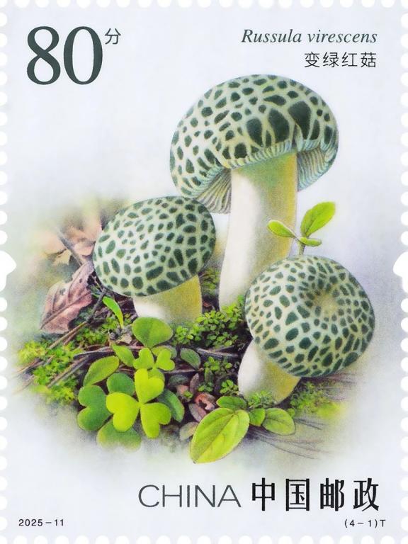 2025-11《食用菌（二）》（4-1）.jpg