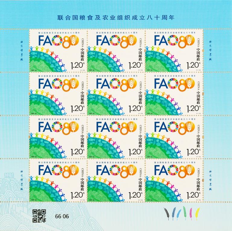 2025-24《联合国粮农组织成立80周年》版式一.jpg