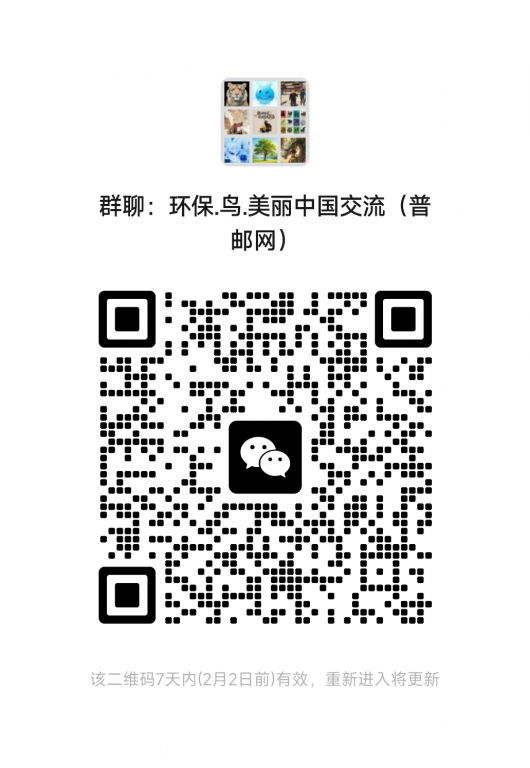 mmqrcode1769396121029.png