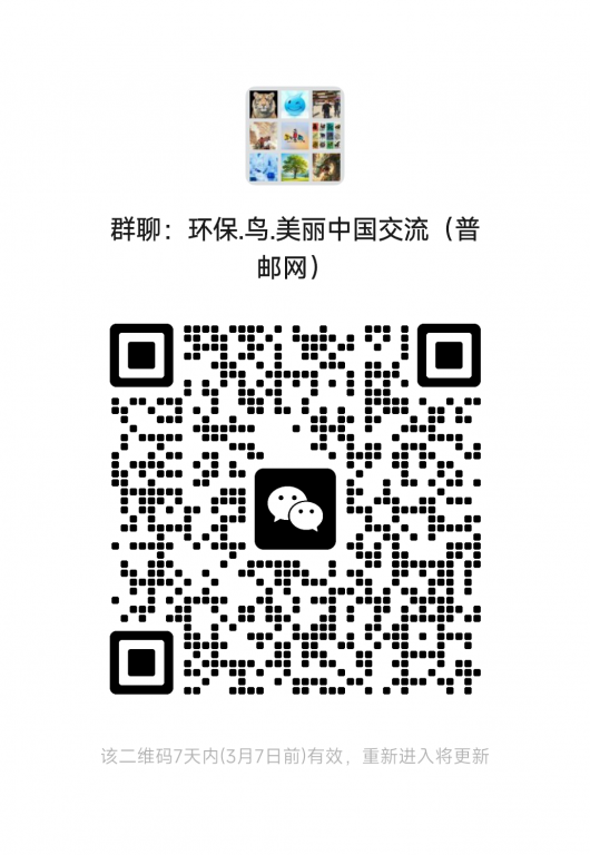 mmqrcode1772286238779.png