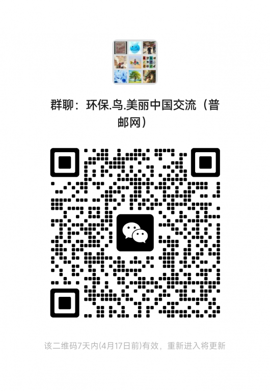 mmqrcode1775785591018.png