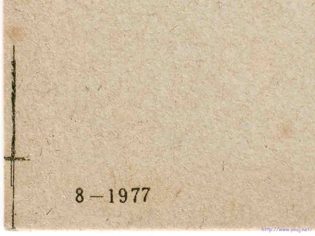 规矩线局部放大图