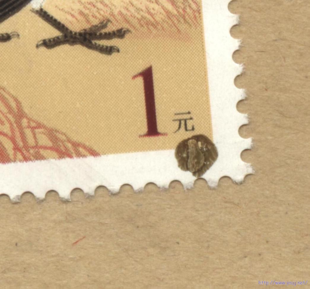 普31-1元.jpg