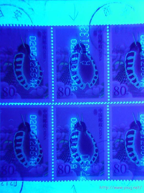 普31 双码02（局）.jpg