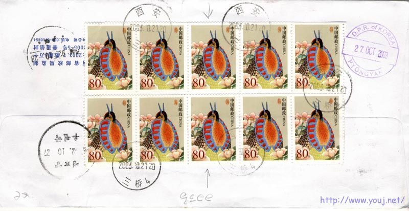 普31 双码02（背）.jpg